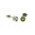 Ohrstecker Peridot